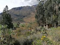 Traditionelles Mittagessen Pachamanca