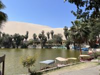 Oase Huacachina