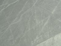 der Pelikan (pelícano)