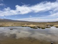 Hochmoor in den Anden