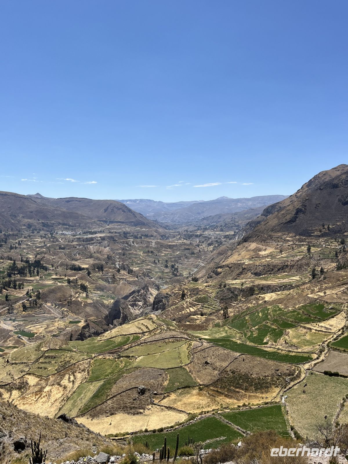 Terassen im Colca Tal