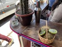 Pisco mit Kaktusfrucht