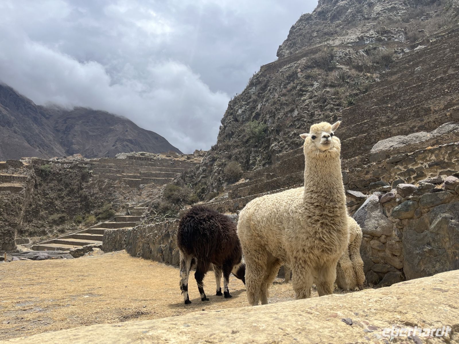 Inka Stätte Ollantaytambo