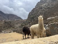 Inka Stätte Ollantaytambo