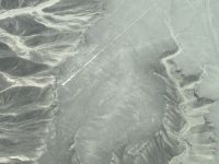 der Kolibri (colibrí)