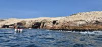 28 Ballestas Inseln