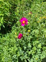 Blume bei Uyo Uyo &ndash; &copy; Andreas Böcker (Eberhardt TRAVEL)