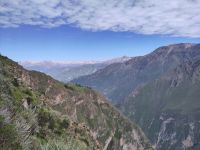 Am Colca-Canyon, nahe des Mirador Cruz del Condor &ndash; &copy; Andreas Böcker (Eberhardt TRAVEL)