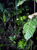 Noch ne Spinne im Wald &ndash; &copy; Andreas Böcker (Eberhardt TRAVEL)