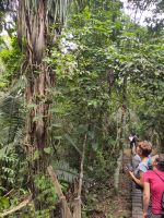 Begegnung Mensch und Kapuzineraffe &ndash; &copy; Andreas Böcker (Eberhardt TRAVEL)