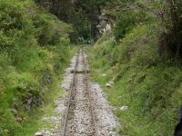 Schienen im Nebelwald  &ndash; &copy; Andreas Böcker (Eberhardt TRAVEL)