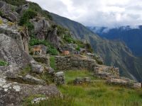 Lamas &ndash; &copy; Andreas Böcker (Eberhardt TRAVEL)
