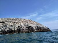 Guano &ndash; &copy; Andreas Böcker (Eberhardt TRAVEL)