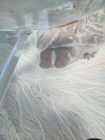 Nasca: Gottheit? Mensch? Alien? Die anthopomorphe Figur ist eine der wenigen, die man auch vom Boden aus erfassen kann &ndash; &copy; Andreas Böcker (Eberhardt TRAVEL)