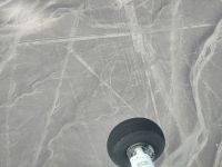 Nasca: Der Papagei &ndash; &copy; Andreas Böcker (Eberhardt TRAVEL)