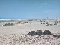 In Tanaka wird Seetang für die Kosmetikindustrie gesammelt &ndash; &copy; Andreas Böcker (Eberhardt TRAVEL)