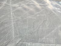 Nasca: der Pelikan &ndash; &copy; Andreas Böcker (Eberhardt TRAVEL)