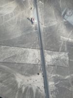 Nasca: Eidechse und Baum &ndash; &copy; Andreas Böcker (Eberhardt TRAVEL)
