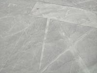Nasca: der Kondor (links) - man darf bei dieser Identifikation Zweifel haben &ndash; &copy; Andreas Böcker (Eberhardt TRAVEL)