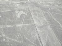 Nasca: die Spinne &ndash; &copy; Andreas Böcker (Eberhardt TRAVEL)