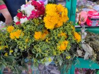 Blumen und Kräuter auf dem Markt von Arequipa für den 'Hexerei'-Bedarf &ndash; &copy; Andreas Böcker (Eberhardt TRAVEL)