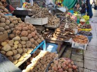 Nur eine geringe Auswahl der vielen tausend Kartoffelsorten. Außerdem Maniok. &ndash; &copy; Andreas Böcker (Eberhardt TRAVEL)
