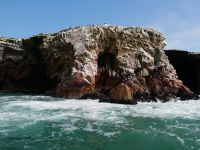 Guano-Tölpel &ndash; &copy; Andreas Böcker (Eberhardt TRAVEL)