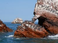 Ballestas &ndash; &copy; Andreas Böcker (Eberhardt TRAVEL)