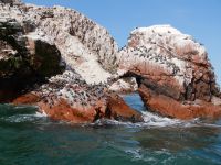 Ballestas &ndash; &copy; Andreas Böcker (Eberhardt TRAVEL)