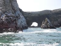 Ballestas &ndash; &copy; Andreas Böcker (Eberhardt TRAVEL)