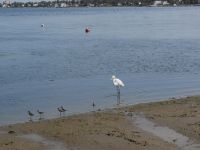 Am Strand von Paracas &ndash; &copy; Andreas Böcker (Eberhardt TRAVEL)