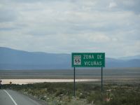 Zona de Vicuñas &ndash; &copy; Andreas Böcker (Eberhardt TRAVEL)