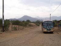 Fahrt in den Trockenwald