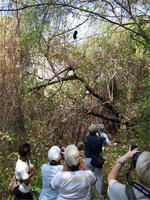 Im Chaparri- Reservat