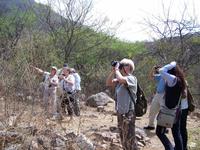 Im Chaparri- Reservat