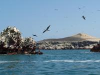 Fahrt zu den Ballestas-Inseln