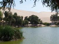 Die Oase Huacachina