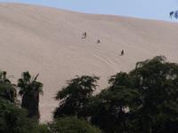 Sandboarding bei der Oase Huacachina