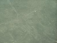 Blick auf den Kolibri