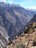 Der Colca-Canyon