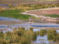 Fischerin bei den Lagunen von Sillustani