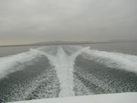 Mit Volldampf voraus!