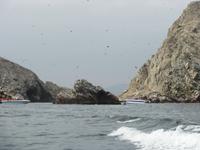 Ballestas-Inseln