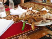 Rekonstruiertes Meerschweinchen