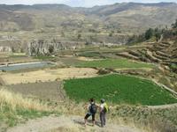 Wanderung zu den Uyo Uyo-Ruinen