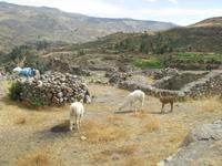 Wanderung zu den Uyo Uyo-Ruinen