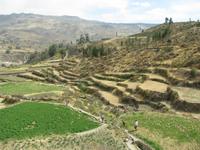 Wanderung zu den Uyo Uyo-Ruinen