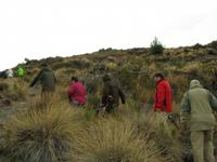 Wanderung zum Sonnenuntergang