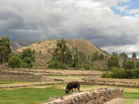 Viracocha-Tempel in Raqchi