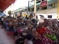 Arequipa Kartoffel-Markt